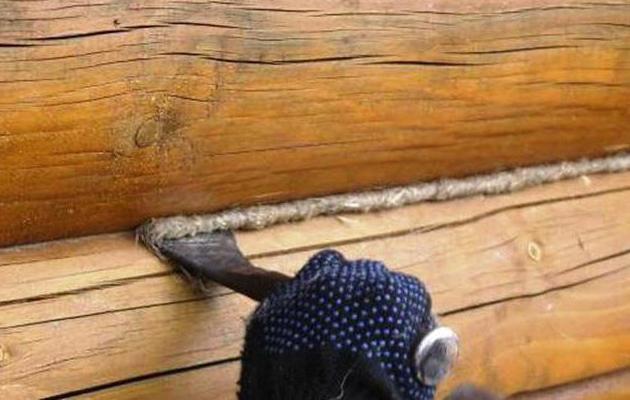 как правильно написать шпатлевку или шпатлевку