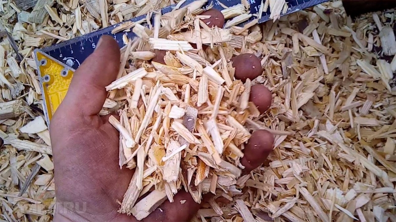 





Как выбрать щепу для арболита



