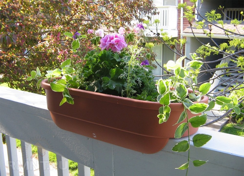 

Шесть необходимых вещей для уютного и функционального балкона

