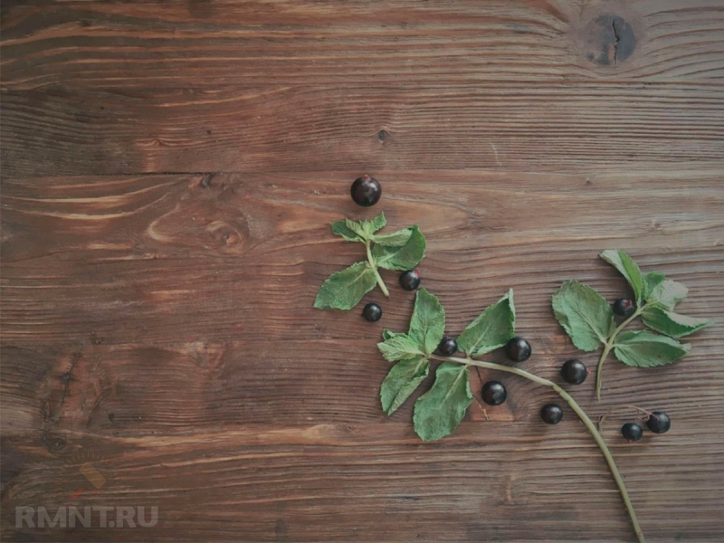 Травление, тонирование древесины: получаем нужный цвет