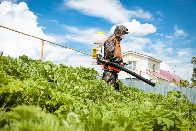 





За что могут оштрафовать на даче и&nbsp;в&nbsp;загородном доме



