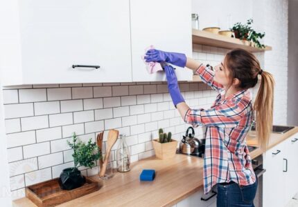 kak-uhazhivat-za-belym-intererom-8c9eecc